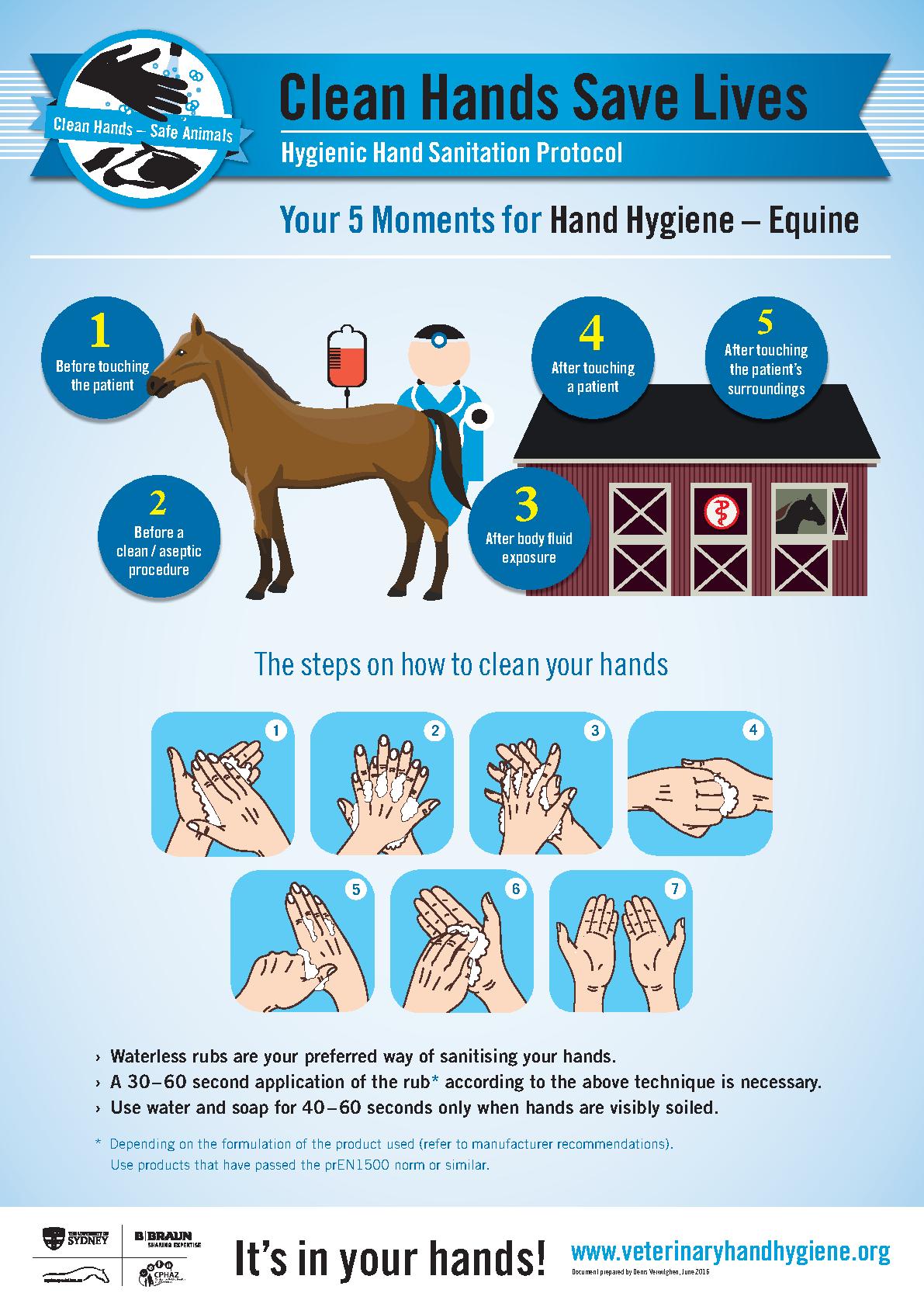 Equine 5 Moments — Short version