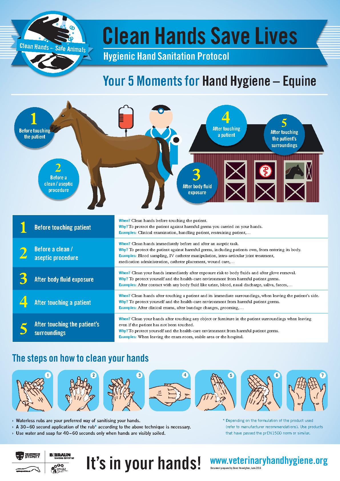 Equine 5 Moments — Long version