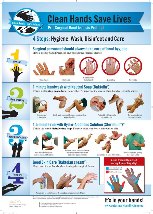 Surgical Hand Preparation — English